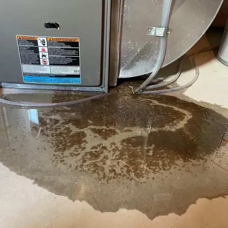 Appliance Leak Cleanup in Black Jack, MO